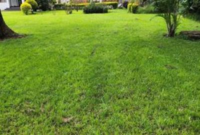 0.75 ac Land at Kunde Rd - 2