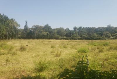 Land in Karen Hardy - 3