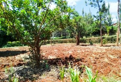 Land in Kiambu Road - 2
