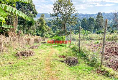 0.05 ha Residential Land at Muthiga