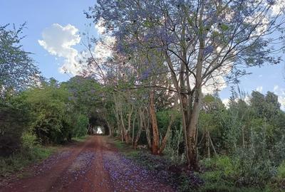 Commercial Land at Thindigua