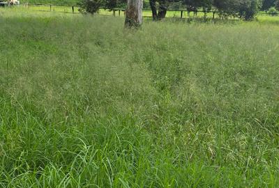 Land in Karen - 2