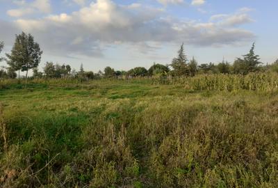 0.5 ac Residential Land in Nanyuki