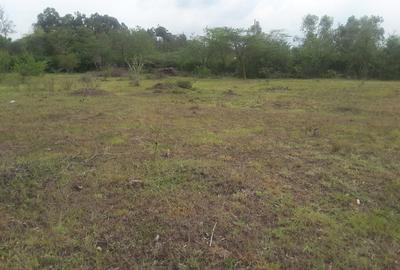 0.5 ac Residential Land in Karen