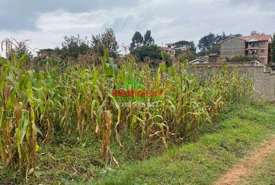 0.05 ha Commercial Land in Kinoo