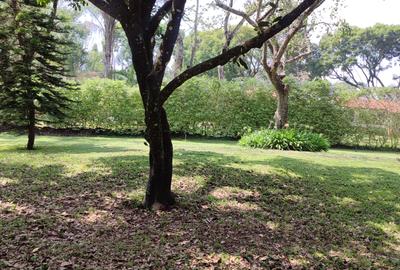 1 ac Land at Ndege Road - 3