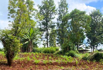 1 ac Land at Muchatha - 4