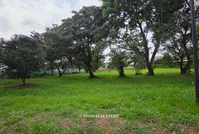 1 ac Land at Karen Miotoni - 2