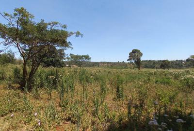 1 ac Land at Kerarapon Drive - 4