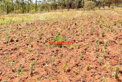 0.05 ha Residential Land at Gikambura