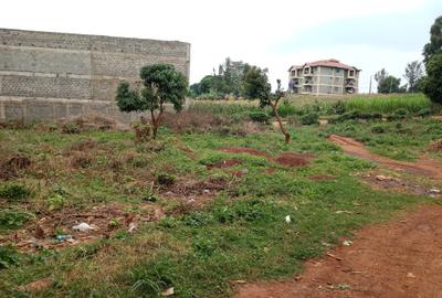 Land in Ruaka - 3