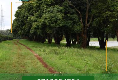 0.125 ac Land in Juja