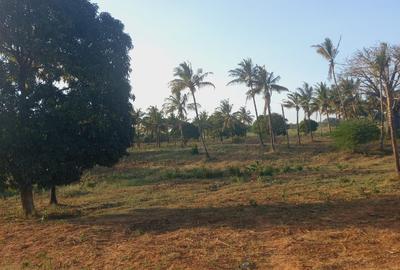 Land at Mavueni Kaloleni Road