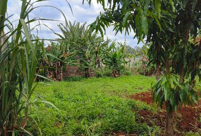 0.25 ac Residential Land at River Side Drive - 4