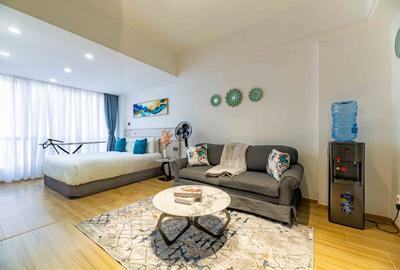 Studio Apartment with En Suite in Kilimani - 2