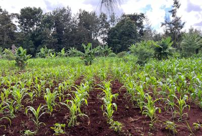 0.5 ac Residential Land in Ridgeways - 2