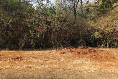 Residential Land at Tumbili Road