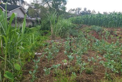 Land in Ridgeways