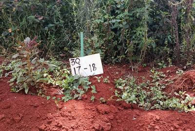 500 m² Land at Ruiru-Githunguri - 2