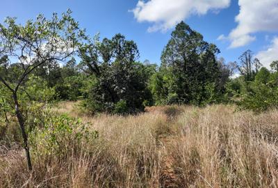 6 ac Land in Nanyuki