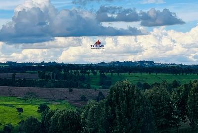 40 ac Land in Limuru - 2