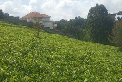 2 ac Land in Tigoni
