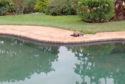 2 Bed House in Karen