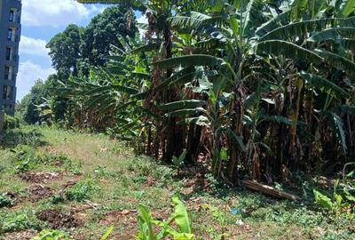 0.5 ac Land in Ruaka - 3
