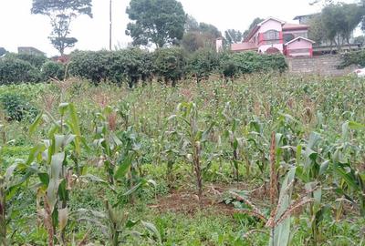 5,000 m² Land at Limuru-Karanjee