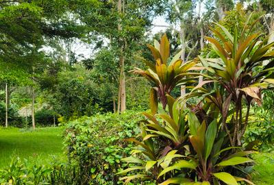 Residential Land at Hardy Area - 3
