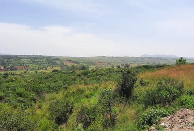 Land at Ngoliba