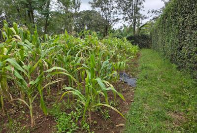 Residential Land in Karen - 4