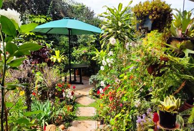 4 Bed Townhouse with En Suite in Lavington - 3