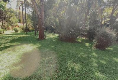 0.87 ac Land at Convent Drive - 2