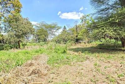 Residential Land in Spring Valley