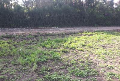 0.25 ac Residential Land in Ongata Rongai