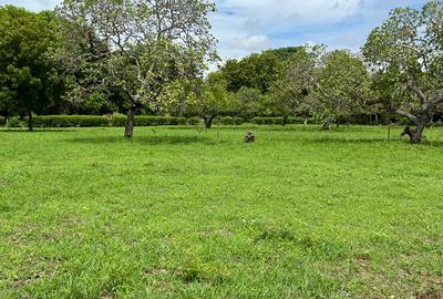 Land in Kilifi - 3