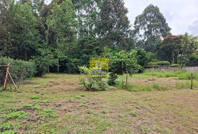 0.5 ac Land in Karen - 4