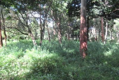 Residential Land at Mwitu Estate