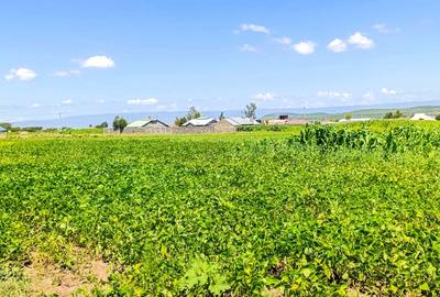 Land at Greensteads - 4