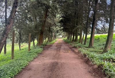 0.125 ac Land in Tigoni