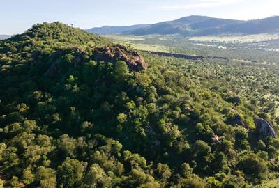 30.3 ac Land at Lolldaiga Valley