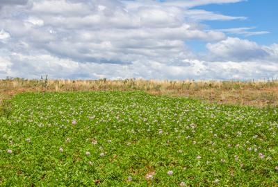 Land in Gilgil