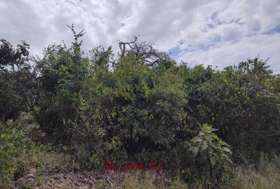 1.00 ac Residential Land at Diani Beach Road - 3