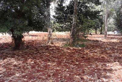 Residential Land at Runda - 2