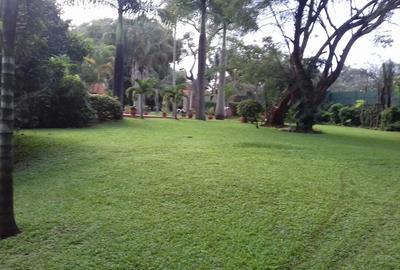 Land at Off Mandera Road