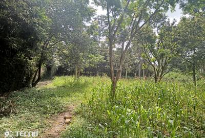 4,044 ac Residential Land at Runda Grove