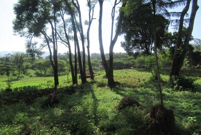Residential Land at Ololua Ridge