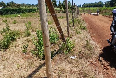 Residential Land at Thigio