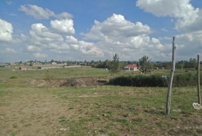 0.125 ac Land in Joska